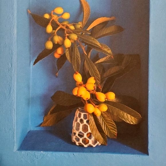 Meet your Posher, Alyssa - Picture 3 of 11